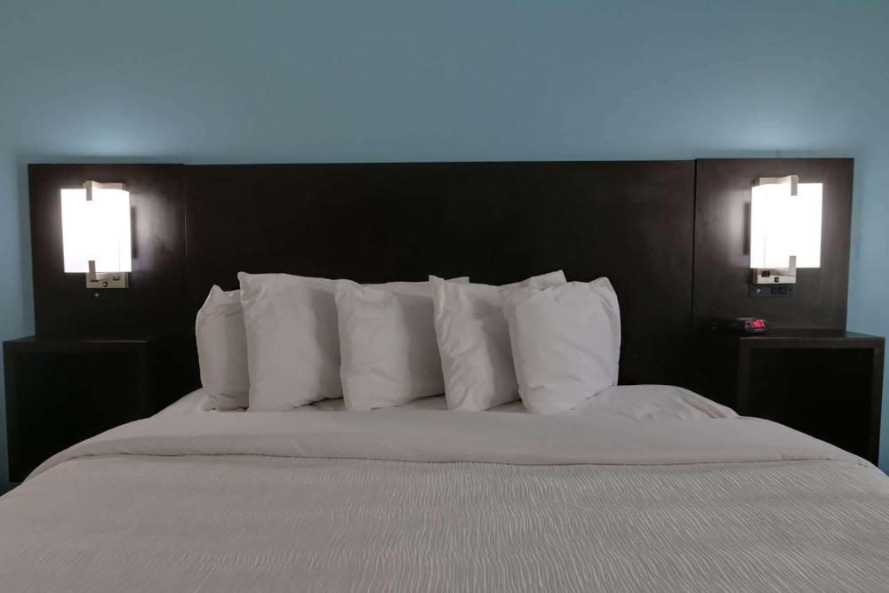 King Room with Roll-in Shower - Mobility Access/Non-Smoking interior